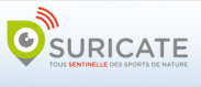 Accès au dispositif sentinelle SURIC@TE